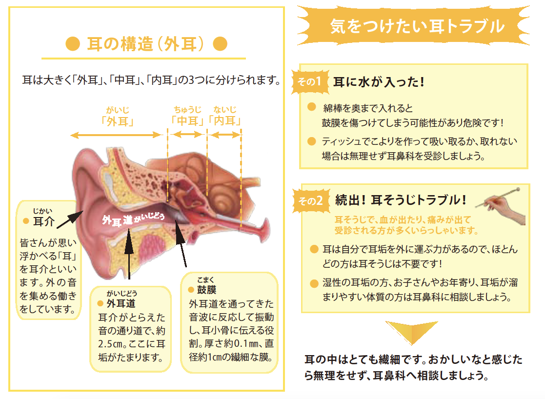 耳 こより