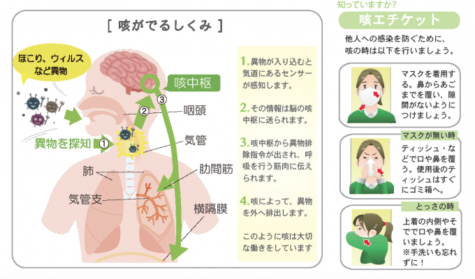 教えて！朴澤院長 》これってなんの咳？ 統合メディカルケアセンター「Tree of Life」